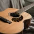 The Complete Guide to Harp Guitar