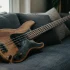The Complete Guide to Bass Guitar Peavey