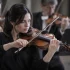 The Complete Guide to Violin Left Handed