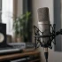 The Complete Guide to Behringer C2 Mic