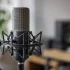 The Complete Guide to Mic Shock Mount
