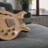 The Complete Guide to Prs Semi Hollow Guitar