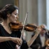 The Complete Guide to Player Violin