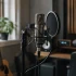 The Complete Guide to Autotune Mic