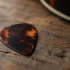 The Complete Guide to Fender Plectrum