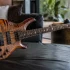 The Complete Guide to Prs Bass