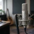 The Complete Guide to Shure Condenser Mic