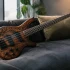 The Complete Guide to Spector Bass