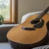 The Complete Guide to Takamine G Series