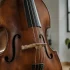 The Complete Guide to Stand Up Bass Strings