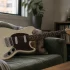 The Complete Guide to Squier Mustang Guitars