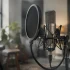 The Complete Guide to Large Diaphragm Condenser Mic