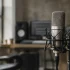 The Complete Guide to Large Diaphragm Condenser Microphones