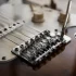 The Complete Guide to Tremolo Arm Guitar