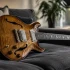 The Complete Guide to Prs Hollow Body