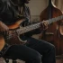 The Complete Guide to Hollow Body Bass Guitar