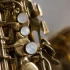 The Complete Guide to Alto Speakers