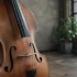 The Complete Guide to Electric Double Bass
