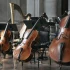 The Complete Guide to Large String Instrument