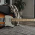 The Complete Guide to Fender Player Telecaster