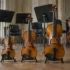The Complete Guide to Size Of Violin