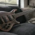 The Complete Guide to Bass Guitar Schecter