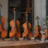 The Complete Guide to Violin Hire Rates