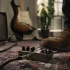 Fender Pedal: A Complete Buyer's Guide