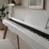 Arturia Digital Piano for Beginners: A Complete Guide