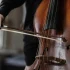 Double Bass Bow: A Complete Buyer's Guide