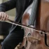 Double Bass Bow for Beginners: A Complete Guide