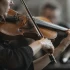 Viola Bow for Beginners: A Complete Guide