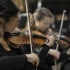 Eastman Violin: A Complete Buyer's Guide