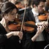 Gewa Violin: A Complete Buyer's Guide