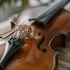 4/4 Violin: A Complete Buyer's Guide