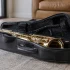 Saxophone Case: A Complete Buyer's Guide