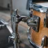 Tom Mount for Beginners: A Complete Guide