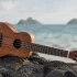 Lanikai Ukulele: A Complete Buyer's Guide