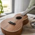 Cordoba Ukulele: A Complete Buyer's Guide
