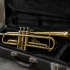 Trumpet Case: A Complete Buyer's Guide