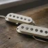 Fender Guitar Pickup for Beginners: A Complete Guide