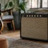 Classic 30 Peavey: A Complete Buyer's Guide