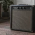 Ampeg B 15: A Complete Buyer's Guide
