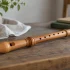 Soprano Recorders: A Complete Buyer's Guide
