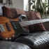 Bass Guitar Peavey: A Complete Buyer's Guide