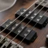 Bass With Humbucker Pickups for Beginners: A Complete Guide