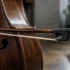 Upright Bass Bow: A Complete Buyer's Guide