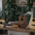 Flight Ukuleles: A Complete Buyer's Guide
