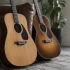 Harmony Guitar for Beginners: A Complete Guide