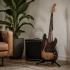 Electric Bass Guitar Stand for Beginners: A Complete Guide